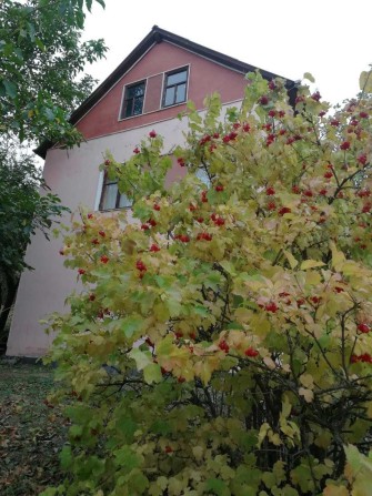 Продам 2 дома на участке 25 соток на берегу Донца  в селе Мохнач. - фото 1