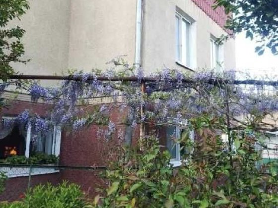 Продается дом-дача в  пригороде Черноморска Чорноморськ