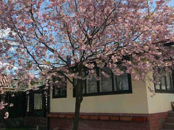 Продаётся дом с выходом к воде Коробовы Хутора Ізюм