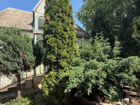 Продам будинок - дачу в "Зарі-1" Чорноморськ