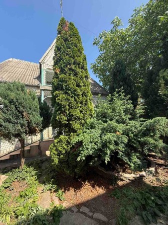 Продам будинок - дачу в "Зарі-1" - фото 1