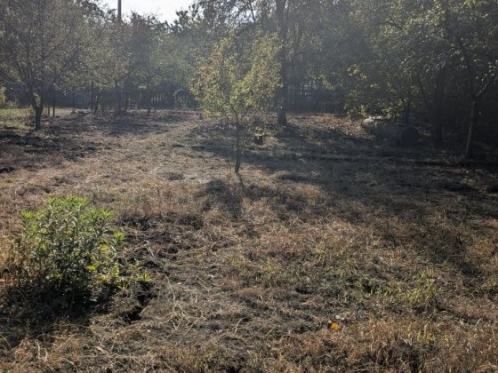 Продам/обміняю дачу, мічурінець Канев