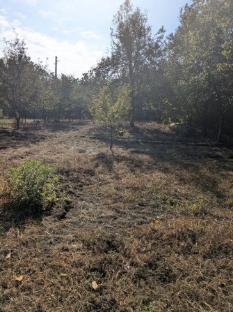 Продам/обміняю дачу, мічурінець - фото 1