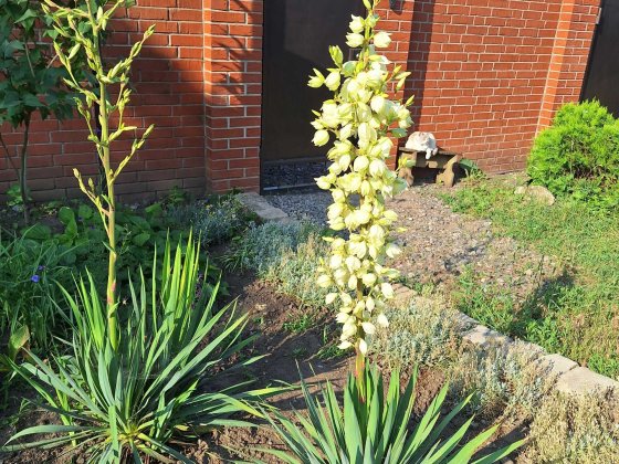 Продажа дома Краматорск Беленькая (Станкострой) Краматорск