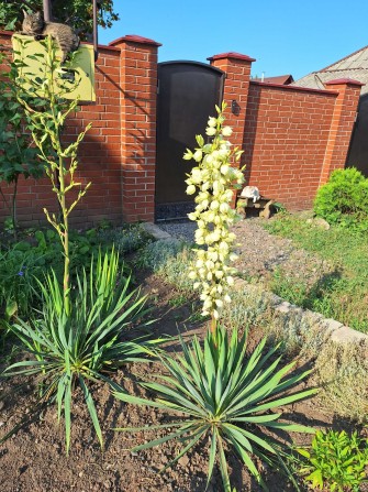 Продажа дома Краматорск Беленькая (Станкострой) - фото 1