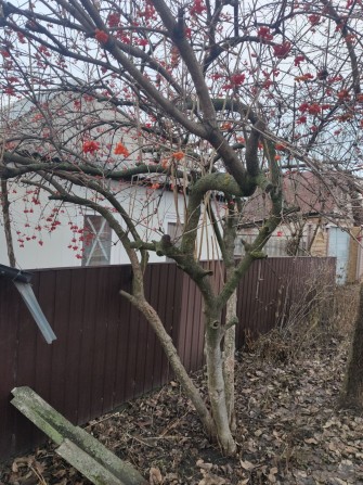 Продам дом возле закрытого переезда - фото 1