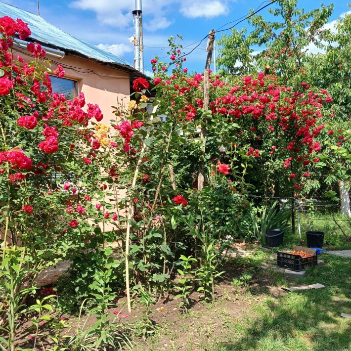 Будинок зі зручностями - фото 1