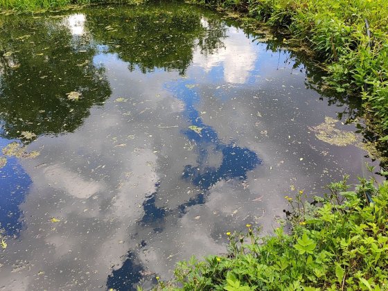 Продається будинок в Мерефі Мерефа