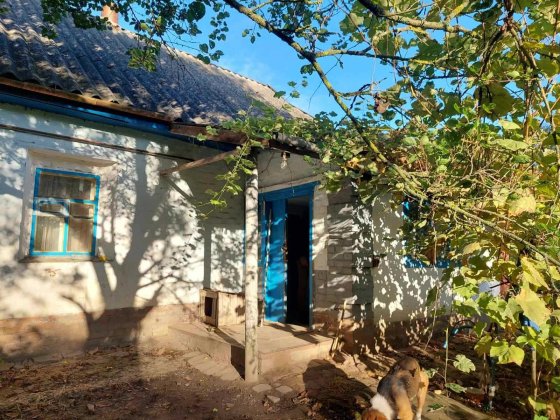 Продається будинок в селищі Дібрівка 6 км від міста Миргород Миргород