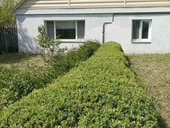 Будинок з сучасним ремонтом і великим участком Миргород