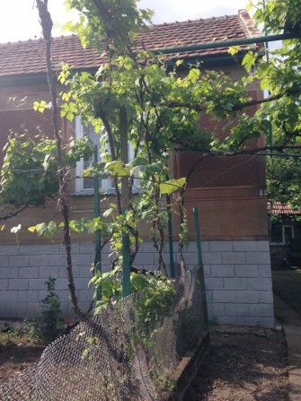 Будинок в Ракошині - фото 1