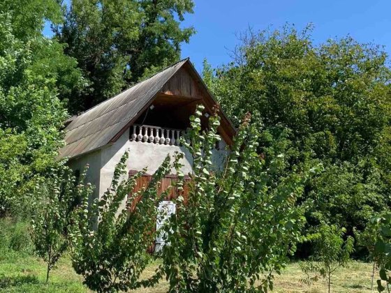 фруктовий садок 47 cот+ будинок Могилів-Подільський