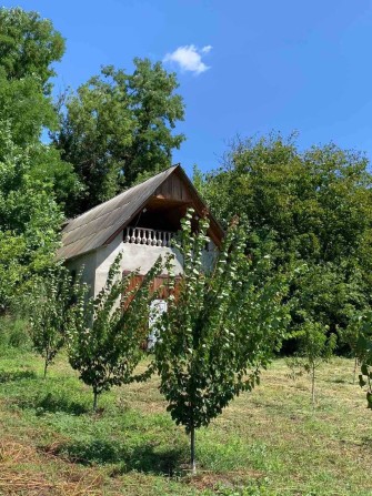 фруктовий садок 47 cот+ будинок - фото 1