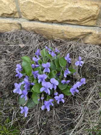 Продається 1/2 будинку в Мерефі - фото 1