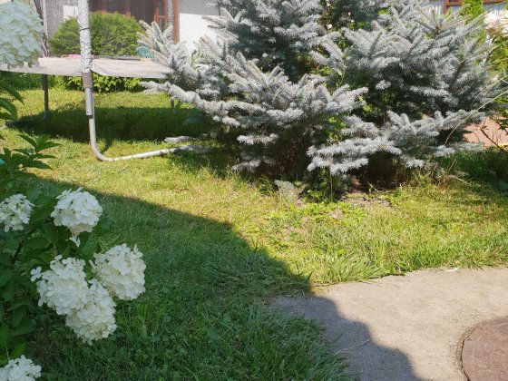 Дом с видом на горы ,продам два дома в одном дворе Мукачево