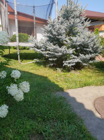 Дом с видом на горы ,продам два дома в одном дворе - фото 1