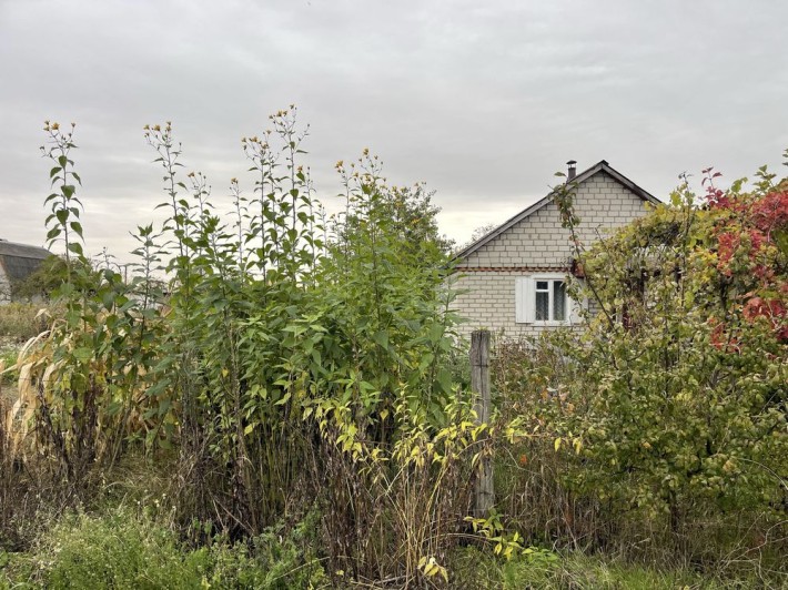 Продам дачу ветеран - фото 1