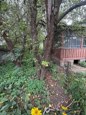 Продам дом в поселке Песочин, 10 минут метро Холодная гора - фото 1