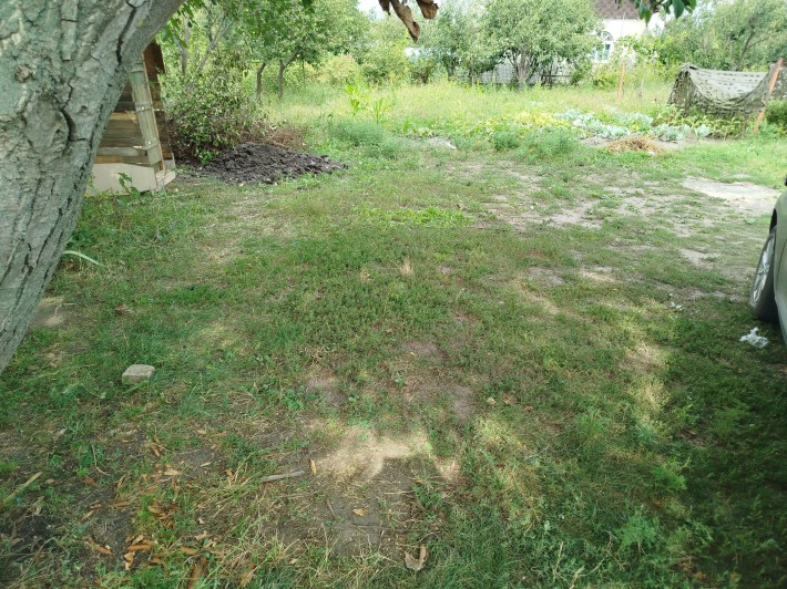 Продам дачу Павлоград - фото 1