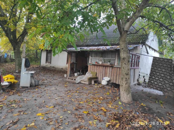 Будинок с.Велика Офірна. Хата - фото 1