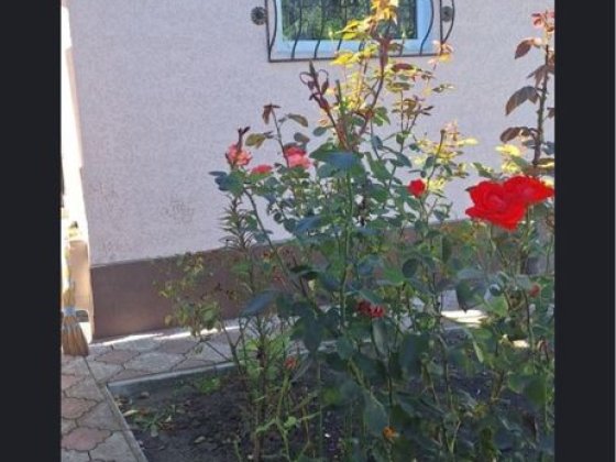 Продаж частини будинку  біля парку Софіівка Умань