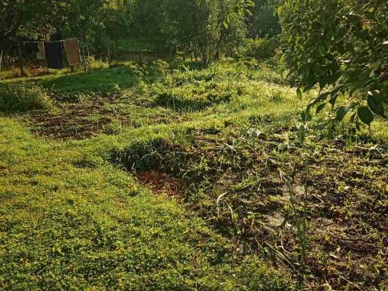 3к Будинок Лезнєво з ремонтом та комунікаціями 85 м2 Хмельницький