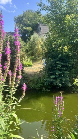 Будинок з власною копанкою Рибалка та природа - фото 1