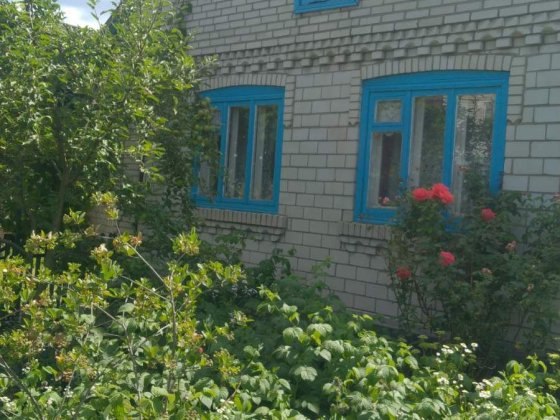 Продається будинок м. Бершадь Бершадь