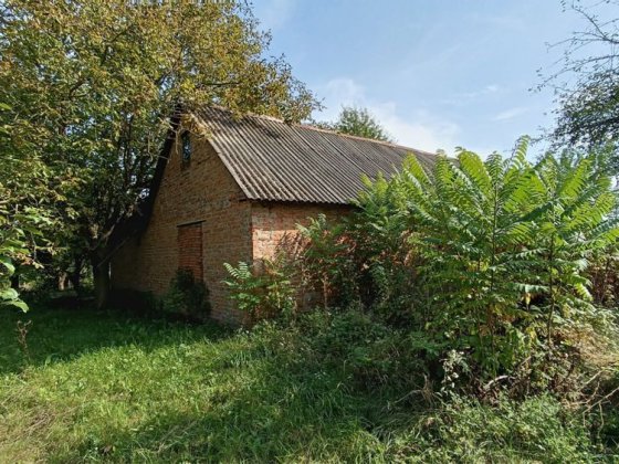 Продам дачну ділянку з будинком біля лісу Горохів