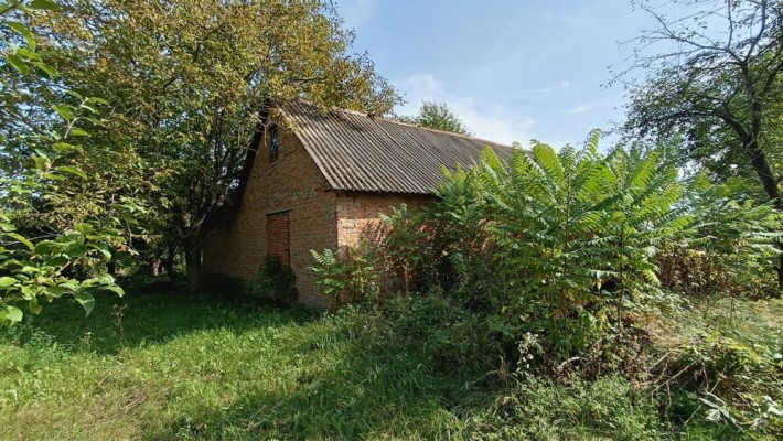 Продам дачну ділянку з будинком біля лісу - фото 1