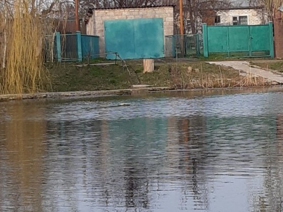 Продам дом Подгородное на берегу реки .