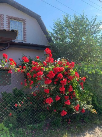 Продам  ДОМ (ДАЧУ) - фото 1