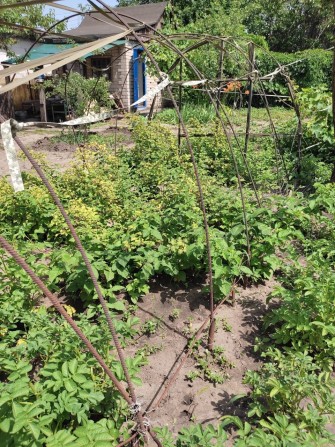 Дача ст Виноградник(Приднепровск) - фото 1