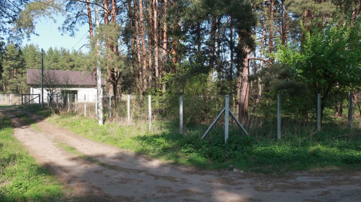 Продам будинок у сосновому лісі 22 сотки Орлівщина Слобода - фото 1