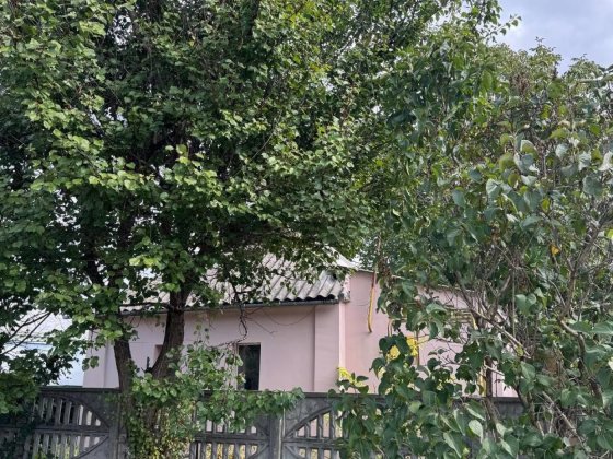 Дом в центре Обуховки Обуховка