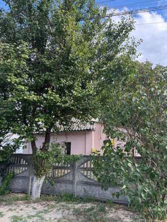 Дом в центре Обуховки - фото 1