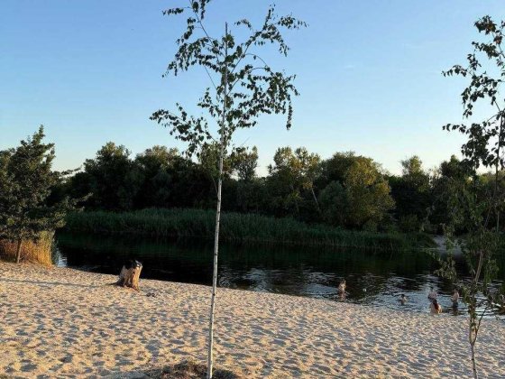 Продам дом в хвойном лесу возле реки Обуховка центр