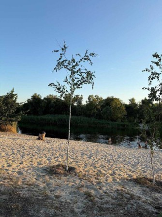 Продам дом в хвойном лесу возле реки Обуховка центр - фото 1