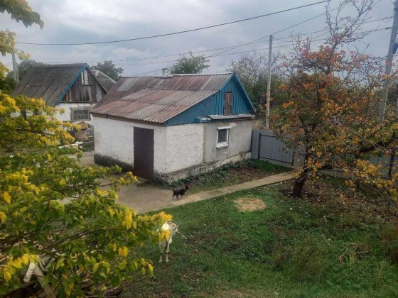 Продам домик в Елизаветовке, рядом река Орель