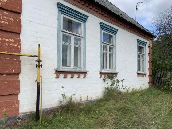 Продаж цегляного будинку Олевськ Олевск