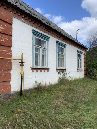 Продаж цегляного будинку Олевськ - фото 1