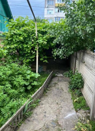 Продаж будинку в Довжику! - фото 1