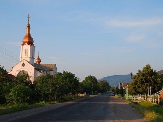 Продаж 2-Будинків В Центрі Чинадієва Можна Під комерцію Чинадійово