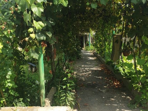 Частина  будинку Чинадійово