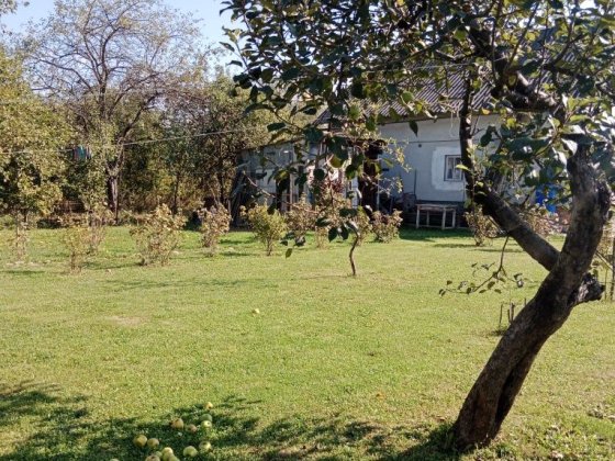 Дача с. Братківці Криховцы