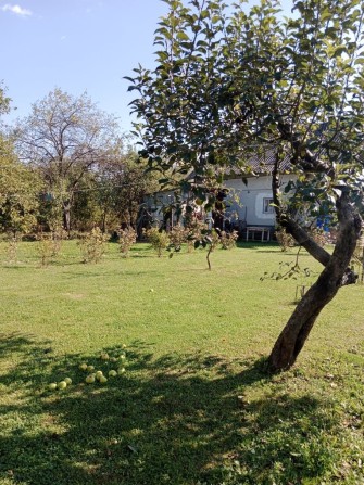 Дача с. Братківці - фото 1