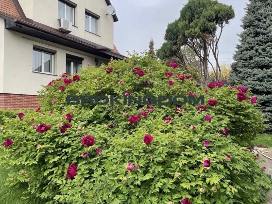 Продаж будинку 430 м2 з критим басейном Крюківщина , Київська обл Крюковщина