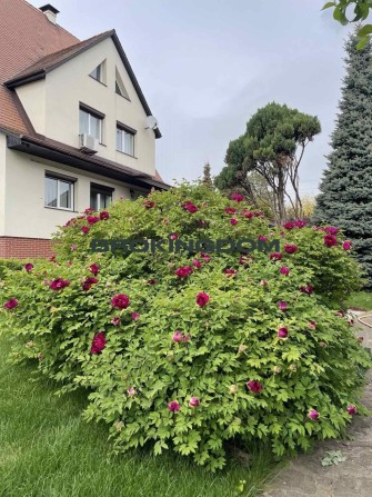 Продаж будинку 430 м2 з критим басейном Крюківщина , Київська обл - фото 1