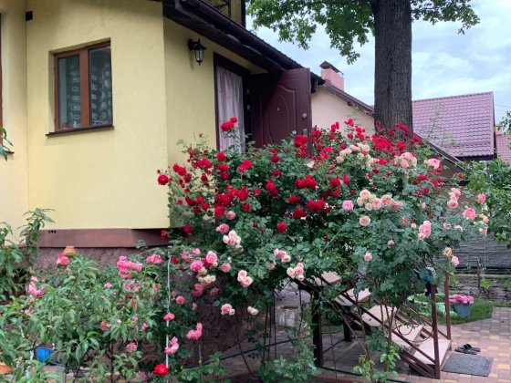 Продаж будинку у Ворзелі Ворзель