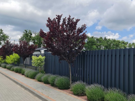 Вітаю! ВІд забудовника! Продам будинок 97.2 м2. Гореничі